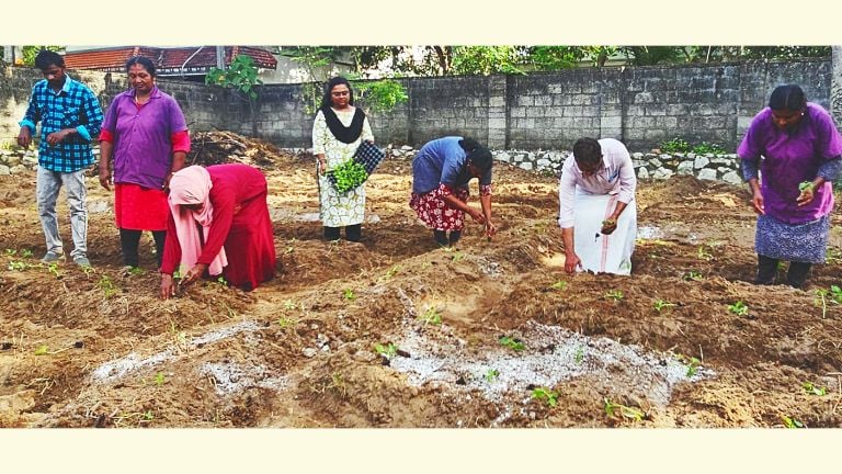 പെരുമാതുറയിൽ ഓണക്കൃഷിക്ക് തുടക്കമിടുന്നു ​ ​