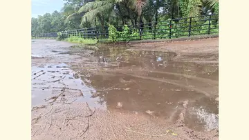 കാരകുന്ന് ഏലാപ്പുറത്തെ നെൽപ്പാടത്തിന് സമീപം റോഡിൽ കക്കൂസ് മാലിന്യം ഒഴുക്കിയ നിലയിൽ ​