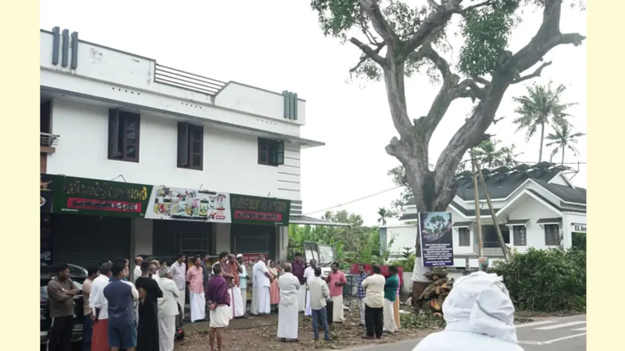 കല്ലമ്പലത്ത് മരം മുറിച്ചു മാറ്റുന്നതിനെതിരെ സംരക്ഷണസമിതി സംഘടിപ്പിച്ച പ്രതിഷേധം