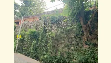 അപകടാവസ്ഥയിലായ നെയ്യാറ്റിൻകര കെഎസ്ആർടിസി ബസ് സ്റ്റാൻഡിനു
പിന്നിലെ കരിങ്കൽ ചുറ്റുമതിൽ