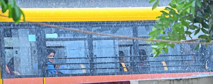 the rain