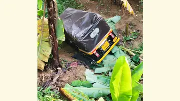  കാട്ടുപന്നി ഇടിച്ച ഓട്ടോ