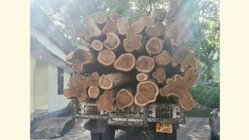 തമിഴ്നാട്ടിലേക്ക് കടത്താൻ ശ്രമിക്കുന്നതിനിടെ വനംവകുപ്പ്  പരുത്തിപ്പള്ളി റേഞ്ചിൽ പിടികൂടിയ തേക്കിൻതടികൾ