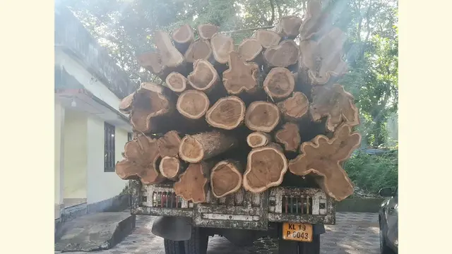 തമിഴ്നാട്ടിലേക്ക് കടത്താൻ ശ്രമിക്കുന്നതിനിടെ വനംവകുപ്പ്  പരുത്തിപ്പള്ളി റേഞ്ചിൽ പിടികൂടിയ തേക്കിൻതടികൾ