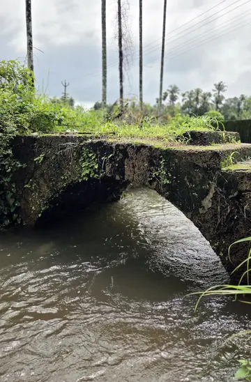 കരിവെള്ളൂർ പലിയേരിയെയും കൊടക്കാട്‌ ഓലാട്ടിനെയും ബന്ധിപ്പിക്കുന്ന  പഴയ ആർച്ച്‌ പാലം