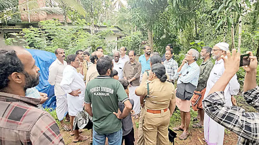 പുലിയെ കണ്ടതായ അഭ്യൂഹത്തെ തുടർന്ന് വനംവകുപ്പ് അധികൃതരുടെ നേതൃത്വത്തിൽ ചെമ്പിലോട് എൽപി സ്കൂൾ
പരിസരത്ത് പരിശോധന നടത്തുന്നു