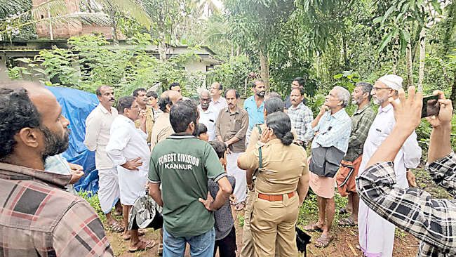പുലിയെ കണ്ടതായ അഭ്യൂഹത്തെ തുടർന്ന് വനംവകുപ്പ് അധികൃതരുടെ നേതൃത്വത്തിൽ ചെമ്പിലോട് എൽപി സ്കൂൾ  പരിസരത്ത്  പരിശോധന നടത്തുന്നു