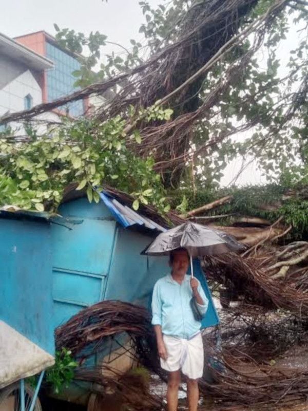 പുതിയകോട്ട എസ്ബിഐക്ക് മുന്നിലെ മരം വീണ് തകർന്ന പെട്ടിക്കടയ്ക്കുമുന്നിൽ കന്നടത്ത് ഗോപാലൻ
