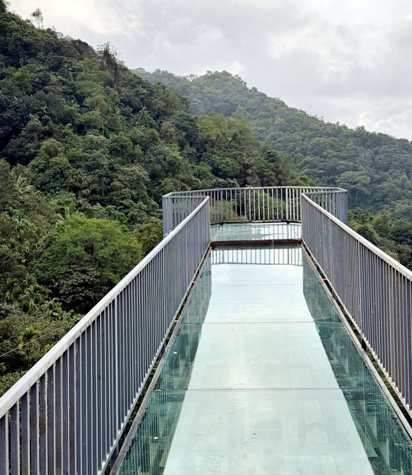 റാണിപുരത്ത് ഒരുങ്ങിയ ഗ്ലാസ് ബ്രിഡ്ജ്