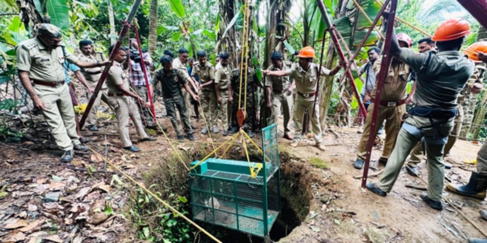 പുലിയെ പിടികൂടാൻ കിണറ്റിൽ കൂട് സ്ഥാപിക്കുന്നു