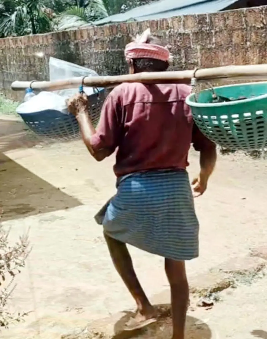 മീൻകൂട്ട കെട്ടിവച്ച തണ്ട് ചുമന്ന് മീൻ വിൽപന
നടത്തുന്ന പിലിക്കോട് വയലിലെ പൊക്കേട്ടൻ