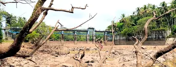ചീമേനി കാക്കടവ്‌ തടയണക്ക്‌ സമീപം തേജസ്വിനിപ്പുഴ വറ്റിയനിലയിൽ