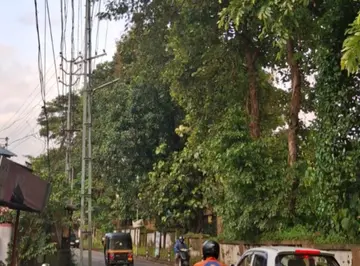 റെയിൽവേ സ്റ്റേഷൻ റോഡിൽ അപകടകരമായ രീതിയിൽ നിൽക്കുന്ന മരങ്ങൾ