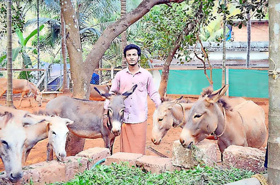 കഴുത ഫാമിൽ യദുകൃഷ്ണൻ