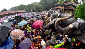 കർക്കിടകം ഒന്നിന് തൃശൂർ വടക്കുന്നാഥ ക്ഷേത്രത്തിൽ നടന്ന ആനയൂട്ട് / ഫോട്ടോ: ഡിവിറ്റ് പോൾ
