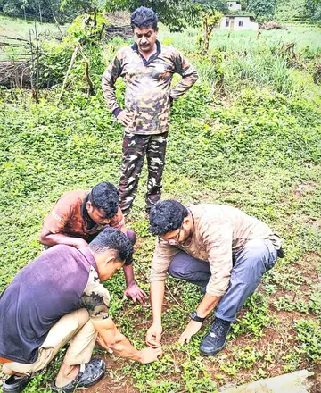 കണ്ണൂർ മഖ്‌നയെ  കണ്ടെത്താൻ ആർആർടി  വെറ്ററിനറി സർജൻ  ഡോ. ഇല്യാസ് റാവുത്തറുടെ നേതൃത്വത്തിൽ  കാൽപ്പാടുകൾ പരിശോധിക്കുന്നു