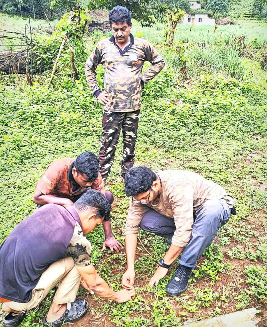 കണ്ണൂർ മഖ്‌നയെ  കണ്ടെത്താൻ ആർആർടി  വെറ്ററിനറി സർജൻ  ഡോ. ഇല്യാസ് റാവുത്തറുടെ നേതൃത്വത്തിൽ  കാൽപ്പാടുകൾ പരിശോധിക്കുന്നു