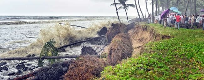 ഉദുമ ജന്മ കടപ്പുറത്ത് കടൽക്ഷോഭത്തിൽ കരയിടിഞ്ഞ് തെങ്ങുകൾ കടപുഴകി വീണപ്പോൾ