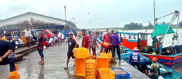 ട്രോളിങ് നിരോധനത്തിനുശേഷം സജീവമായ മടക്കര മീൻപിടിത്ത തുറമുഖം