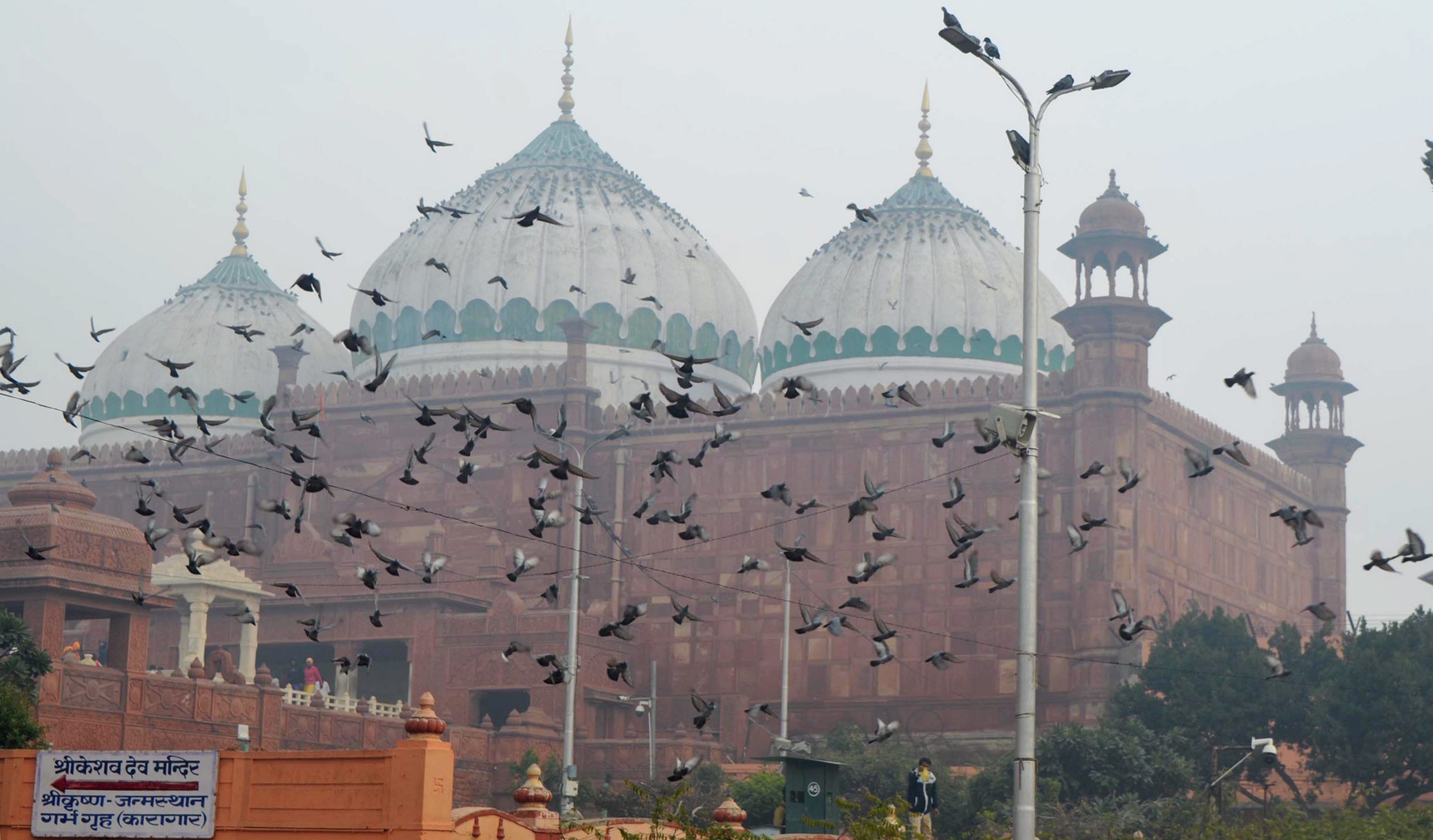 Mosque 1