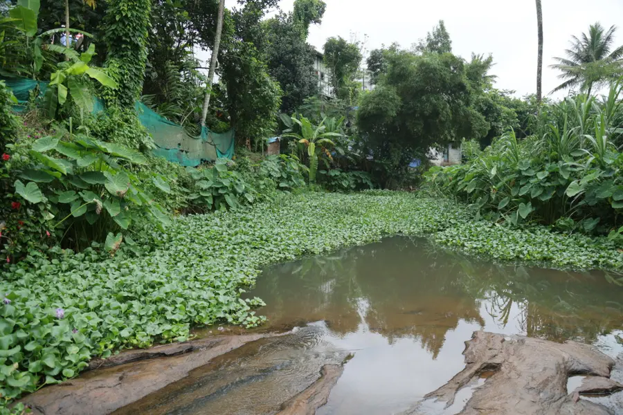 kattappana
