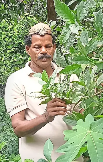 നാട്ടുവൈദ്യൻ കാനായി നാരായണൻ  ഔഷധ തോട്ടത്തിൽ