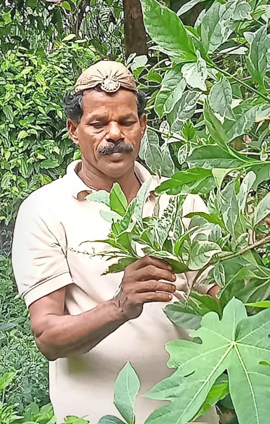 നാട്ടുവൈദ്യൻ കാനായി നാരായണൻ ഔഷധ തോട്ടത്തിൽ