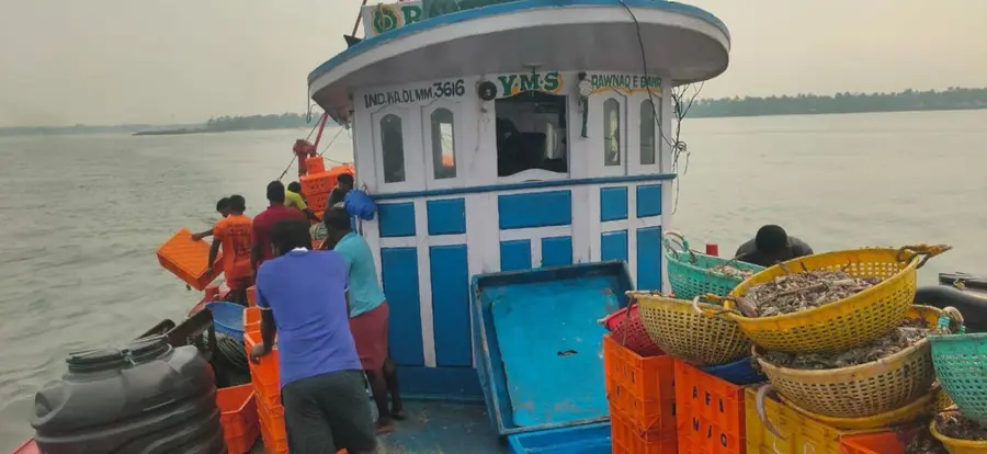 പെലാജിക് വലകൾ ഉപായാഗിച്ച് പിടിച്ച ചെറുമീനുകൾ കടലിൽ ഒഴുക്കുന്നു