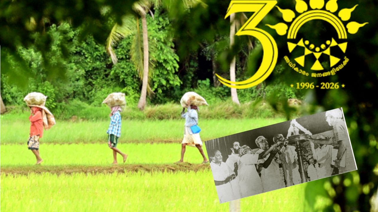 29