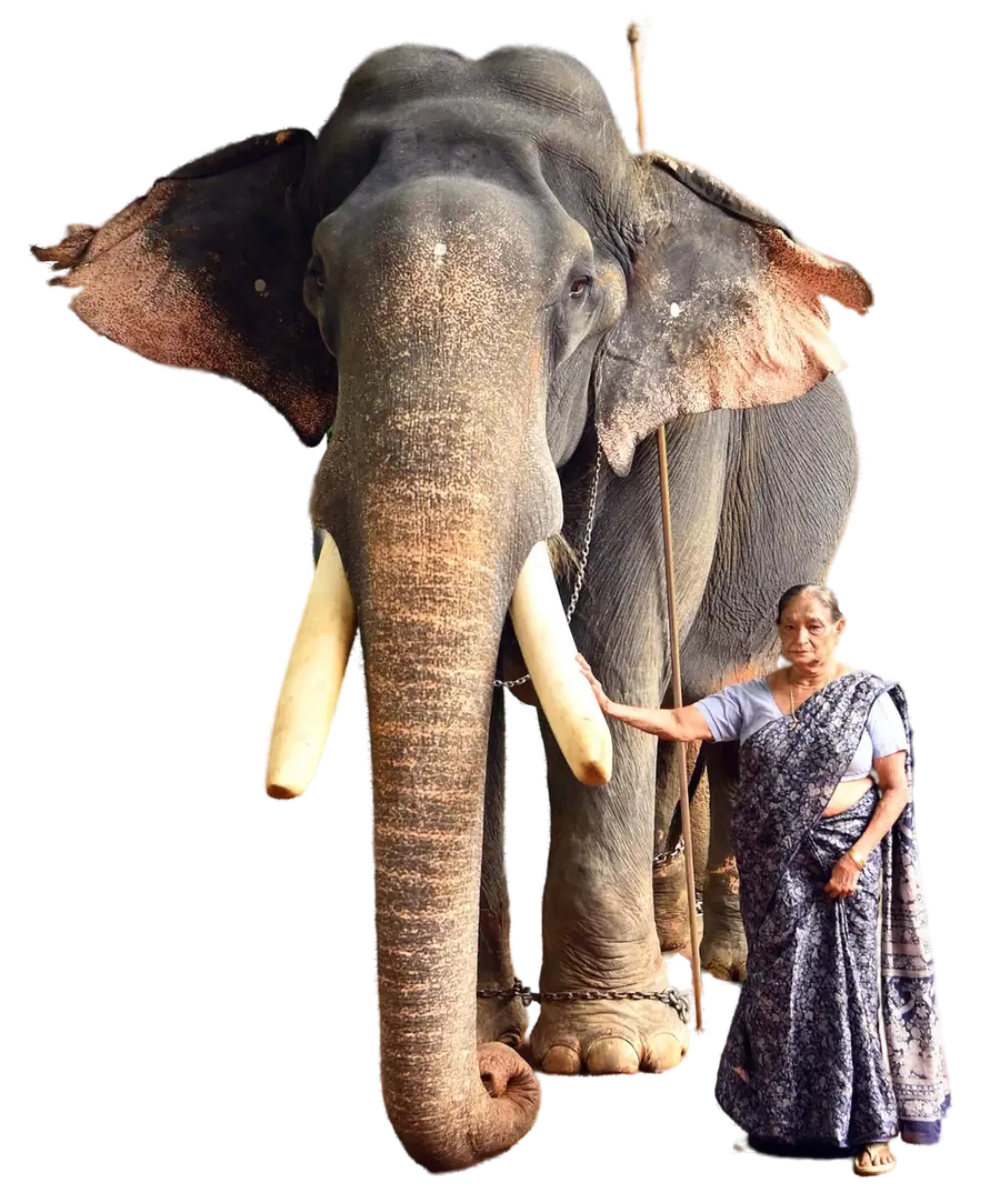 gajarajan