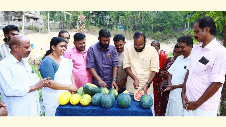 തണ്ണിമത്തൻ വിളവെടുപ്പ്‌ കെ ആൻസലൻ എംഎൽഎ ഉദ്ഘാടനം ചെയ്യുന്നു