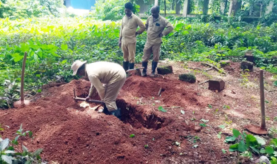 കാസർകോട് ജനറൽ ആശുപത്രി മോർച്ചറിയിൽ സൂക്ഷിച്ചിരുന്ന ചെന്നിക്കരയിലെ ശിവരാമന്റെ മൃതദേഹം സംസ്കരിക്കാനായി ചെന്നിക്കര വാതകശ്മശാനത്തിലെ പറമ്പിൽ നഗരസഭാ ശുചീകരണ തൊഴിലാളികൾ കുഴിയെടുക്കുന്നു