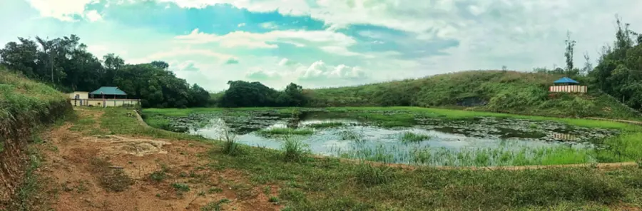 കാറ്റൂതിമെട്ട്