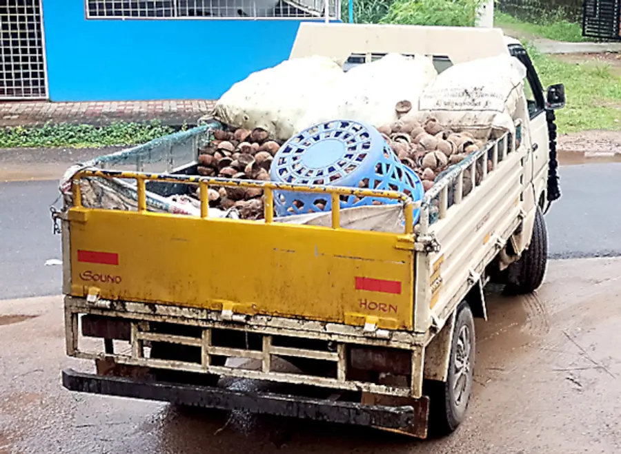 വാഹനത്തിൽ ചിരട്ടകൾ ശേഖരിച്ച് കൊണ്ടുപോകുന്നു