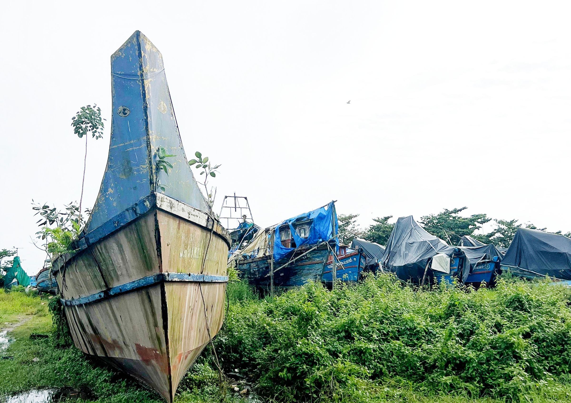 പുതിയാപ്പ ഹാർബറിൽ കൂട്ടിയിട്ട ബോട്ടുകൾ