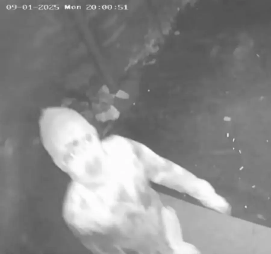 സിസിടിവിയിൽ പതിഞ്ഞ മോഷ്ടാവിന്റെ ദൃശ്യം