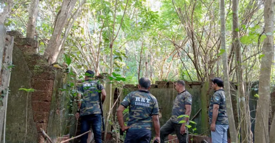 പെരിയ ഏച്ചിക്കുണ്ടില് പുലിയെ കണ്ട വിവരത്തെ തുടര്ന്ന് വനം വകുപ്പിന്റെ ദ്രുതകര്മസേന തിരച്ചില് നടത്തുന്നു