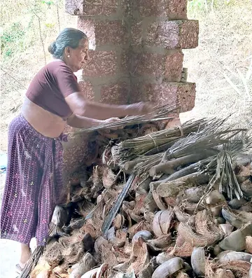 ക്ലായിക്കോട്‌ വെള്ളാട്ടെ  നാരായണി ഓലയും മടലും ശേഖരിച്ചുവയ്‌ക്കുന്നു