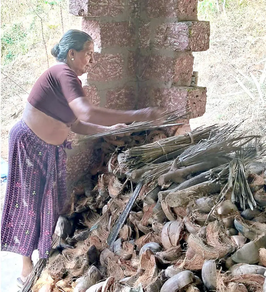 ക്ലായിക്കോട് വെള്ളാട്ടെ നാരായണി ഓലയും മടലും ശേഖരിച്ചുവയ്ക്കുന്നു