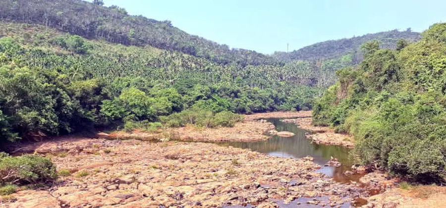 കടുത്ത വേനലിൽ പയസ്വിനിപ്പുഴ വറ്റിവരണ്ടപ്പോൾ