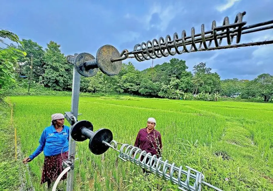 സൗരോർജവേലി സ്ഥാപിച്ച വേശാല കോമക്കരി പാടശേഖരത്തിലെ കർഷകരായ പി കെ പത്മാവതിയും
സി വി അനിതയും ഫോട്ടോ: പി ദിലീപ് കുമാർ