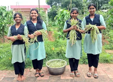 മടിക്കൈ ആലമ്പാടി ജിയുപി സ്കൂളിലെ വിദ്യാർഥികൾ വിളവെടുത്ത പയറുമായി