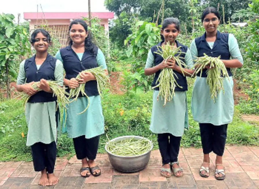 മടിക്കൈ ആലമ്പാടി ജിയുപി സ്കൂളിലെ വിദ്യാർഥികൾ വിളവെടുത്ത പയറുമായി 
