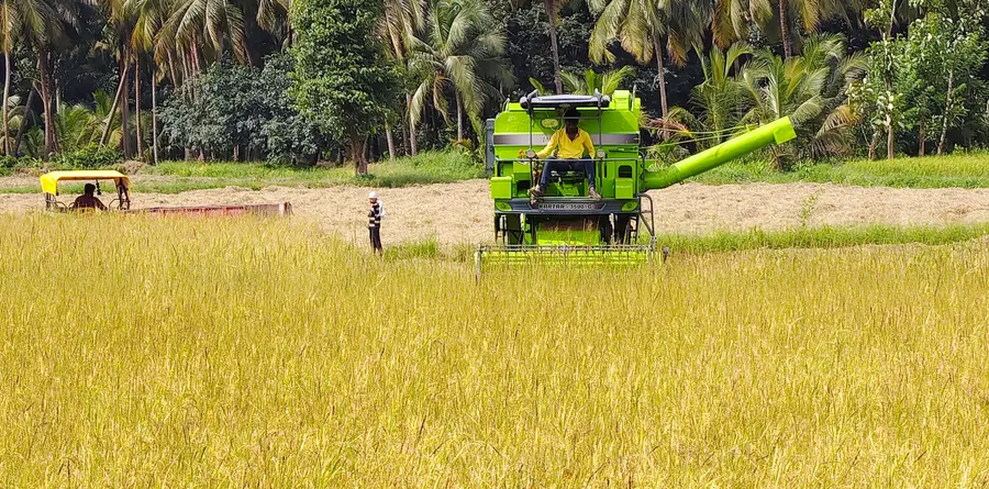 കോട്ടായിയിൽ ഒന്നാംവിള കൊയ്-ത്ത് ആരംഭിച്ചപ്പോൾ