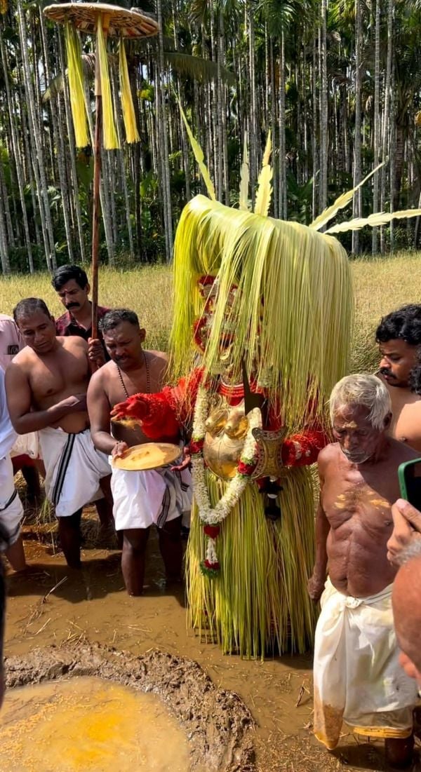 തിമിരി വയലിൽ വലിയവളപ്പിൽ ചാമുണ്ഡി വിത്തെറിയുന്നു