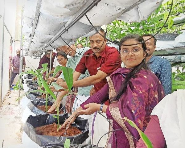 പോളി ഹൗസ് കസ്തൂരി മഞ്ഞൾ കൃഷിയുടെ വിത്ത് നടീൽ ജില്ലാ പഞ്ചായത്ത് വൈസ് പ്രസിഡന്റ്  ബിനോയ് കുര്യൻ ഉദ്ഘാടനം ചെയ്യുന്നു 