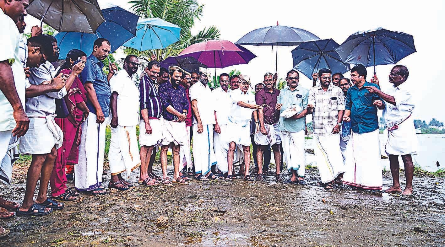 കർഷകസംഘം സംസ്ഥാന സമ്മേളനത്തിന് ഭക്ഷണമൊരുക്കാൻ ആവശ്യമായ അരി ഉൽപ്പാദിപ്പിക്കാനായി  നാലുപാടത്ത് സംസ്ഥാന പ്രസിഡന്റ് എം വിജയകുമാർ വിത്തെറിഞ്ഞ് നെൽകൃഷി ഉദ്ഘാടനംചെയ്യുന്നു