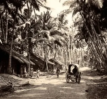 കൊല്ലം –തിരുവനന്തപുരം ദേശീയപാത 1891 ലെ ചിത്രം