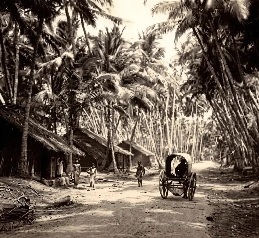 കൊല്ലം –തിരുവനന്തപുരം ദേശീയപാത 1891 ലെ ചിത്രം