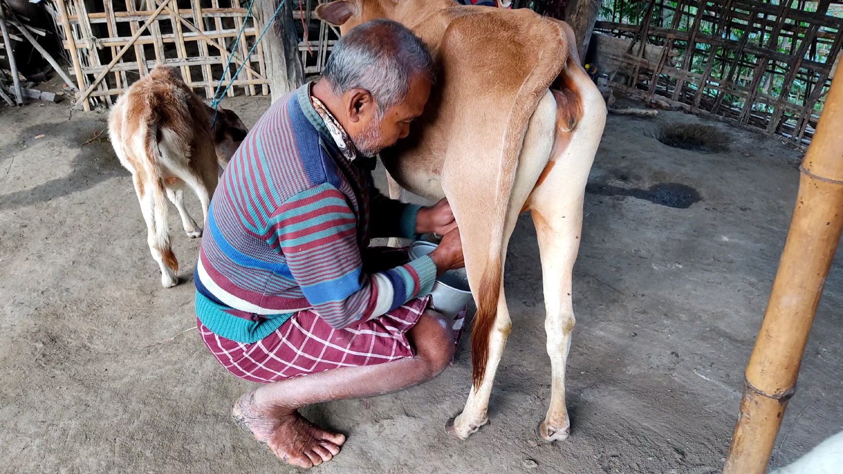 ജാദവ് മൊലയ് പായംഗ്